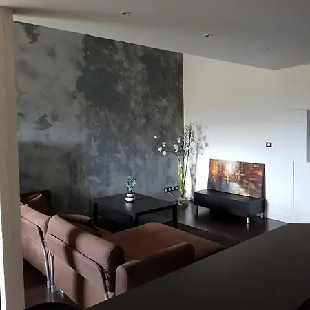 Duplex De 115m2 Secteur Pompidou - 2 Chambres アパート *