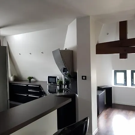 Duplex De 115m2 Secteur Pompidou - 2 Chambres アパート *