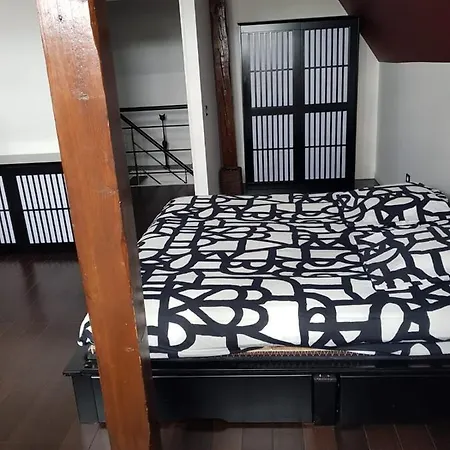 Duplex De 115m2 Secteur Pompidou - 2 Chambres アパート