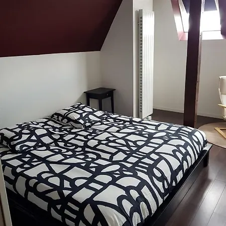 Duplex De 115m2 Secteur Pompidou - 2 Chambres アパート